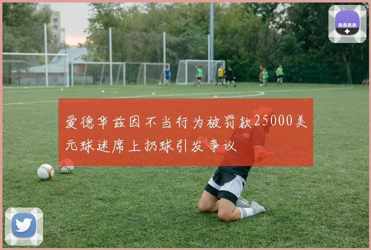 爱德华兹因不当行为被罚款25000美元球迷席上扔球引发争议